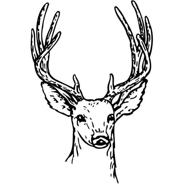 DEER011 Thumbnail